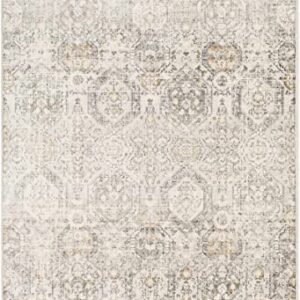 Hauteloom Bluffs Moroccan Farmhouse Living Room Bedroom Dining Room Area Rug - Bohemian Style - Boho Vintage Distressed - Beige, Gray, Brown, Cream 7'10" x 10'2"