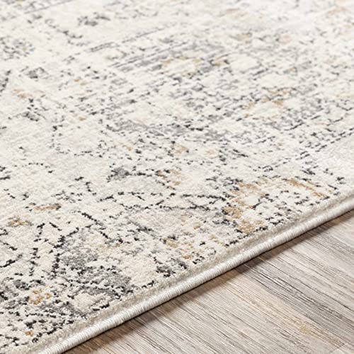 Hauteloom Bluffs Moroccan Farmhouse Living Room Bedroom Dining Room Area Rug - Bohemian Style - Boho Vintage Distressed - Beige, Gray, Brown, Cream 7'10" x 10'2"