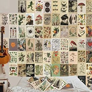 SOONYO Vintage Botanical Illustration Tarot Aesthetic Pictures Wall Collage Kit, Trendy Small Poster for Dorm, Vintage Style Art Print Photo Collection (Multicolor, 50pcs)