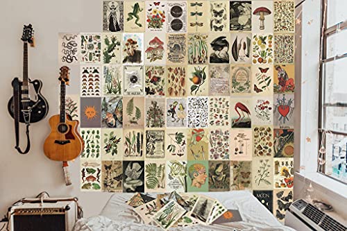 SOONYO Vintage Botanical Illustration Tarot Aesthetic Pictures Wall Collage Kit, Trendy Small Poster for Dorm, Vintage Style Art Print Photo Collection (Multicolor, 50pcs)