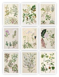 ink inc. botanical prints floral wildflowers wall art prints – set of 9-5×7- matte – unframed