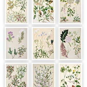 Ink Inc. Botanical Prints Floral Wildflowers Wall Art Prints - Set of 9-5x7- Matte - Unframed