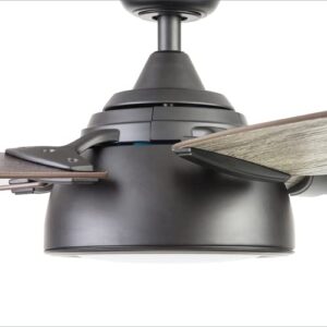 Prominence Home 51639-01 Potomac Smart Ceiling Fan and Remote, 52, Matte Black