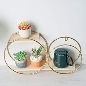 Efavormart 2-Tier Geometric Floating Shelf, Wall Hanging Shelves with Gold Double Hoop Design - 10" H x 18" L for Living Room, Bedroom, Kitchen, Bathroom, Study Room, Garden Sheds, Wall Decoration