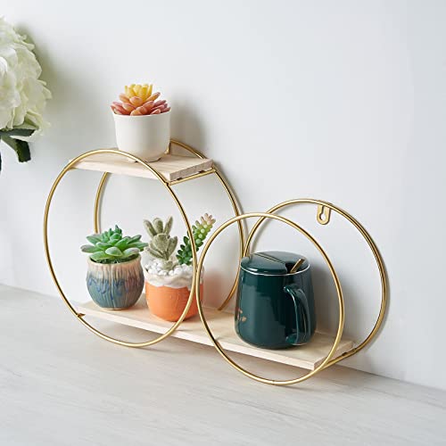 Efavormart 2-Tier Geometric Floating Shelf, Wall Hanging Shelves with Gold Double Hoop Design - 10" H x 18" L for Living Room, Bedroom, Kitchen, Bathroom, Study Room, Garden Sheds, Wall Decoration