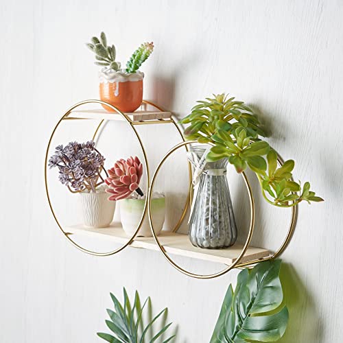 Efavormart 2-Tier Geometric Floating Shelf, Wall Hanging Shelves with Gold Double Hoop Design - 10" H x 18" L for Living Room, Bedroom, Kitchen, Bathroom, Study Room, Garden Sheds, Wall Decoration