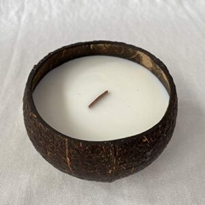 Coconut Bowl Candle – 14oz Premium Soy – Wood Wicked Coconut Scented Candle – Natural Coconut Shell – Eco Friendly – Ideal for Home and Beach Décor – Aromatherapy Candle