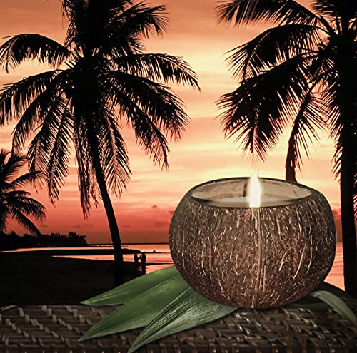 Coconut Bowl Candle – 14oz Premium Soy – Wood Wicked Coconut Scented Candle – Natural Coconut Shell – Eco Friendly – Ideal for Home and Beach Décor – Aromatherapy Candle