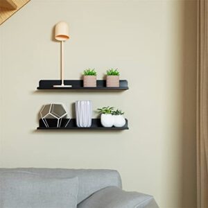 Alonsoo Floating Shelves Metal Wall Mounted Shelf Organizer for Picture Ledge Wall Mounted Shelves for Bathroom, Kitchen Rustic Spice Rack, Black,Stainless Steel