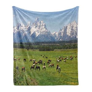 lunarable horse throw blanket, grand teton national park snowy mountains fresh greenery trees animals, flannel fleece accent piece soft couch cover for adults, 70″ x 90″, green and pale blue