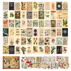 anerza 100 pcs vintage wall collage kit aesthetic pictures, cottagecore room decor for bedroom aesthetic, posters for room aesthetic, cute dorm photo wall decor for teen girls, botanical wall art