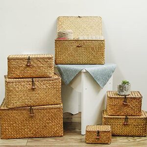 FEILANDUO Shelf Baskets with Lids Set of 3 for Home Decor Seagrass Storage Baskets Wicker Rattan Woven Rectangular Organizer Boxes ((Large) S/M/L, Original)