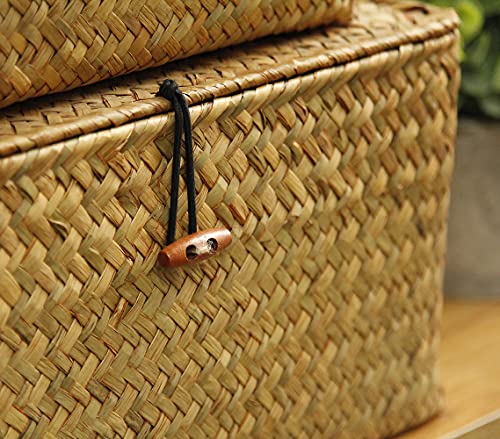 FEILANDUO Shelf Baskets with Lids Set of 3 for Home Decor Seagrass Storage Baskets Wicker Rattan Woven Rectangular Organizer Boxes ((Large) S/M/L, Original)