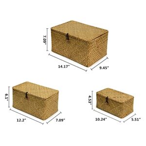 FEILANDUO Shelf Baskets with Lids Set of 3 for Home Decor Seagrass Storage Baskets Wicker Rattan Woven Rectangular Organizer Boxes ((Large) S/M/L, Original)