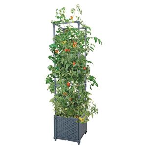 green mount raised garden bed planter boxes with trellis for climbing vegetables plants tomato cage