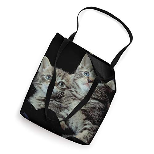 Two Cute Kittens Tiger Cats Photo Tote Bag