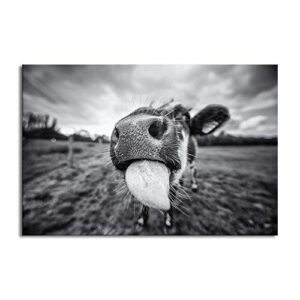iknow foto canvas print wall art black and white freedom highland cow pictures funny animal painting stretched and framed artwork for home office decor ready to hang 24x36inch