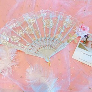 Rich Boxer Lace Handheld Fan Gorgeous European style Rose Folding Fan for Party Show Cosplay Props Photo Props