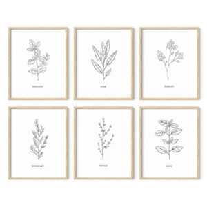 HAUS AND HUES Kitchen Herbs Wall Art Decor for Kitchen Herb Art Prints and Kitchen Signs Wall Decor | Herb Prints Kitchen Wall Art Kitchen Prints for Wall Herb Decor (8"X10" UNFRAMED)