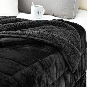 Wemore Sherpa Fleece Weighted Blanket for Adult 15 lbs Dual Sided Cozy Fluffy Heavy Blanket,Ultra Fuzzy Throw Blanket with Soft Plush Flannel Top,48 x 72 inches,Black on Both Sides