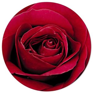 MUSEDAY Area Rug 3.3ft Round, Red Rose Flower Plant Kitchen Rugs Non Skid Area Indoor Floor Mat for Living Room, Bedroom