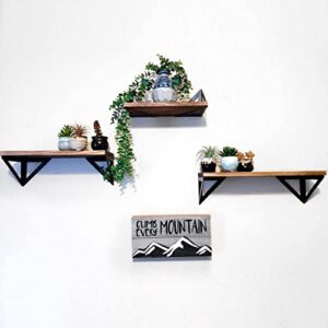 Klvied Floating Shelves Wall Mounted Set of 4, Rustic Wood Wall Shelves, Storage Shelves for Bedroom, Living Room, Bathroom, Kitchen, Office and More, Carbonized Black