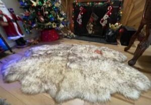 genuine natural sheepskin rug 4-pelt real fur 71″x41″x 2″ premium grade australia and new zealand ethically sourced by windward (ivory/white)
