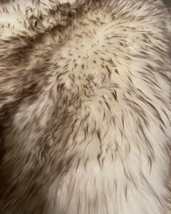 Genuine Natural Sheepskin Rug 4-Pelt Real Fur 71"x41"x 2" Premium Grade Australia and New Zealand Ethically Sourced by Windward (Ivory/White)