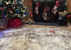 Genuine Natural Sheepskin Rug 4-Pelt Real Fur 71"x41"x 2" Premium Grade Australia and New Zealand Ethically Sourced by Windward (Ivory/White)