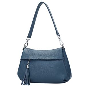 Over Earth Genuine Leather Handbags for Women Crossbody Bag Ladies Shoulder Hobo Purse Small(O111-2E Indigo Blue)