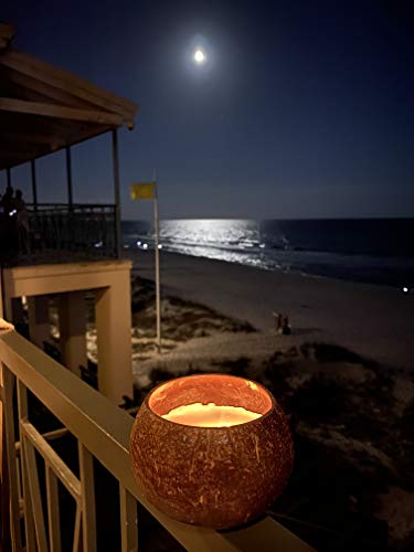 Coconut Bowl Candle with Wooden Wick - Palm Wax, Eco-Friendly, Tropical Beach and Ocean Decor (Vanilla Scent)