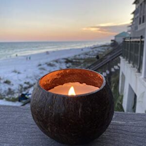 Coconut Bowl Candle with Wooden Wick - Palm Wax, Eco-Friendly, Tropical Beach and Ocean Decor (Vanilla Scent)