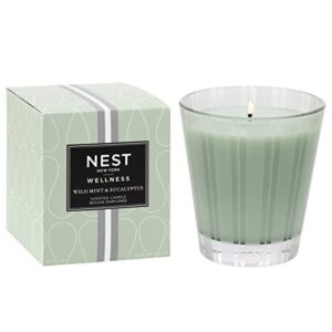 nest new york wild mint & eucalyptus scented classic candle