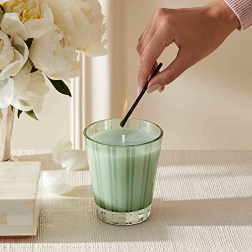 NEST New York Wild Mint & Eucalyptus Scented Classic Candle