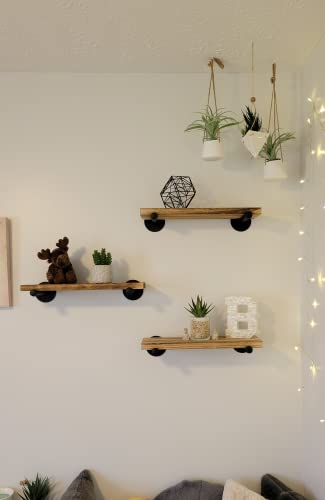 Ty Creations Floating Shelves with Industrial Pipe Brackets Home, Set of 3, Rustic Wall Mounted Wood Shelving Storage Home Decor for Bathroom, Kitchen, Bedroom, Living Room, Office