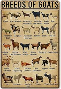 ewerw goat knowledge metal tin sign breeds of goats learning poster library school education living room kitchen bathroom home art wall decoration plaque gift 8inchx12inch, 8inch x 12inch