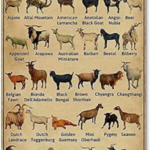 EWERW Goat Knowledge Metal Tin Sign Breeds Of Goats Learning Poster Library School Education Living Room Kitchen Bathroom Home Art Wall Decoration Plaque Gift 8inchx12inch, 8Inch X 12Inch