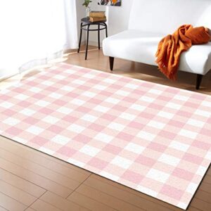 aomike indoor area rug doormat- cute chic pink preppy buffalo check plaid contemporary rug for living room/bedroom/front porch/hallway/farmhouse, 2’x3′