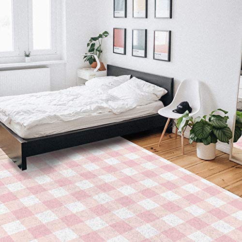 Aomike Indoor Area Rug Doormat- Cute Chic Pink Preppy Buffalo Check Plaid Contemporary Rug for Living Room/Bedroom/Front Porch/Hallway/Farmhouse, 2'x3'