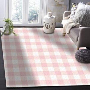 Aomike Indoor Area Rug Doormat- Cute Chic Pink Preppy Buffalo Check Plaid Contemporary Rug for Living Room/Bedroom/Front Porch/Hallway/Farmhouse, 2'x3'