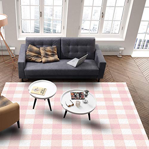 Aomike Indoor Area Rug Doormat- Cute Chic Pink Preppy Buffalo Check Plaid Contemporary Rug for Living Room/Bedroom/Front Porch/Hallway/Farmhouse, 2'x3'