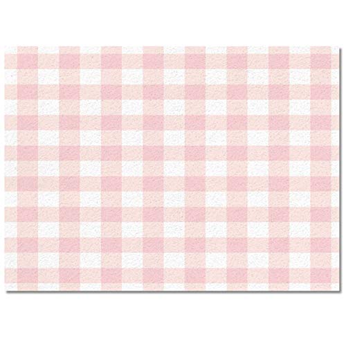 Aomike Indoor Area Rug Doormat- Cute Chic Pink Preppy Buffalo Check Plaid Contemporary Rug for Living Room/Bedroom/Front Porch/Hallway/Farmhouse, 2'x3'