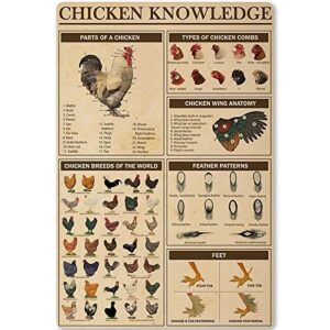 chicken knowledge metal tin sign chicken breeds of the world infographics retro poster plaque for club cafe bar home kitchen wall decoration 8×12 inches