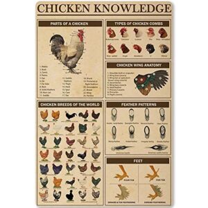 Chicken Knowledge Metal Tin Sign Chicken Breeds of The World Infographics Retro Poster Plaque for Club Cafe Bar Home Kitchen Wall Decoration 8x12 Inches