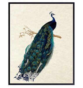 peacock wall art decor – rustic vintage farmhouse boho decoration for living room, bedroom, bathroom, home, apartment – gift for women, nature fan – famous audubon picture – 8×10 poster print