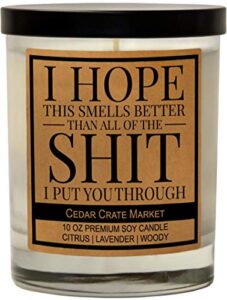 i’m sorry gift for her, him – funny apology candle gifts, friendship, christmas, birthday gifts for women, men, mom, dad, wife, sister, husband, girlfriend, boyfriend, best friend, hand poured in usa