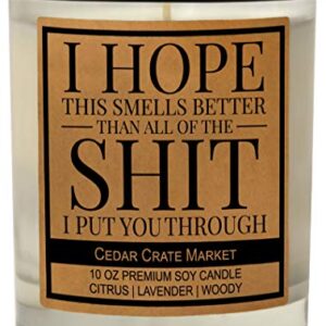 I'm Sorry Gift for Her, Him - Funny Apology Candle Gifts, Friendship, Christmas, Birthday Gifts for Women, Men, Mom, Dad, Wife, Sister, Husband, Girlfriend, Boyfriend, Best Friend, Hand Poured in USA