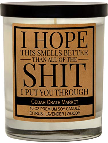 I'm Sorry Gift for Her, Him - Funny Apology Candle Gifts, Friendship, Christmas, Birthday Gifts for Women, Men, Mom, Dad, Wife, Sister, Husband, Girlfriend, Boyfriend, Best Friend, Hand Poured in USA