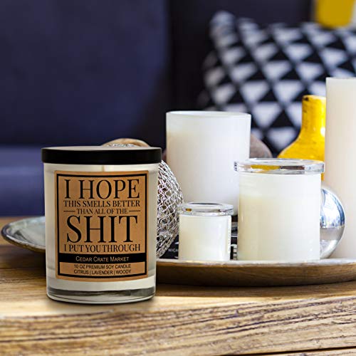 I'm Sorry Gift for Her, Him - Funny Apology Candle Gifts, Friendship, Christmas, Birthday Gifts for Women, Men, Mom, Dad, Wife, Sister, Husband, Girlfriend, Boyfriend, Best Friend, Hand Poured in USA