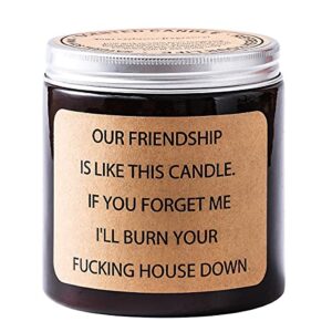 pmcds2g scented candles best gift for men & women birthday 14oz 100hour long burn time lavender fragrance (our friendship is like this candle. if you forget me i’ll burn your fxxking house down.)